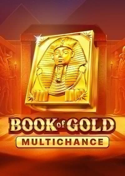 Book of Gold Multichance